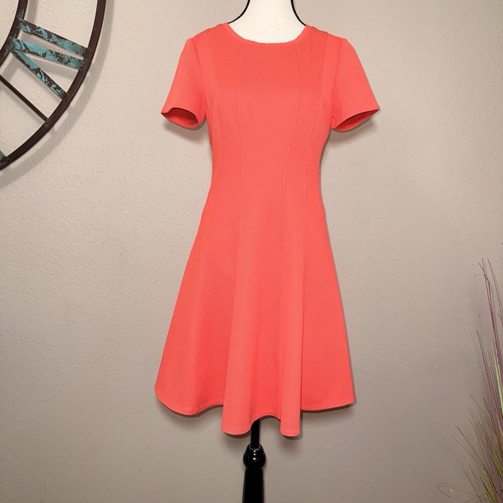 Rebecca Taylor Dress Size 6 NWT Persimmon Short Sleeve Lined Fit & Flare